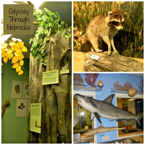 Science Discovery Center on the UNL Campus Morrill Hall in Lincoln, Nebraska