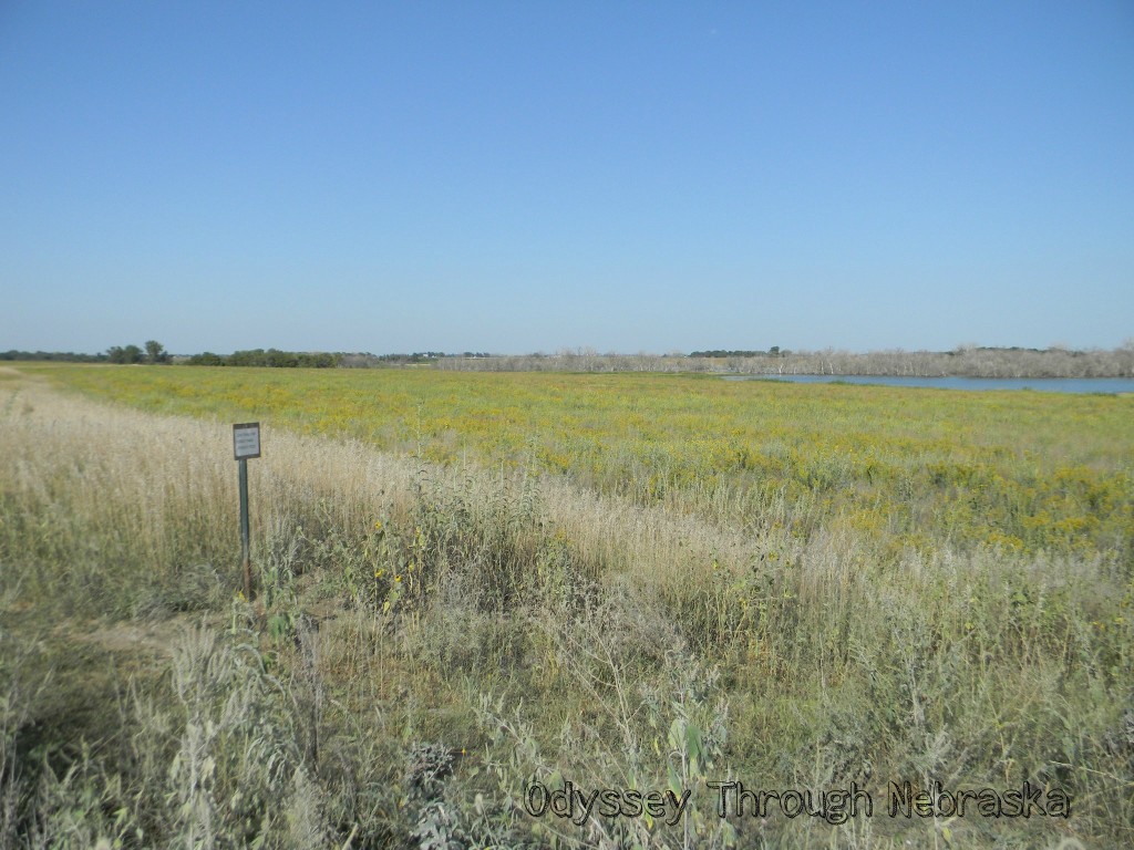 Lake Wanahoo Marker