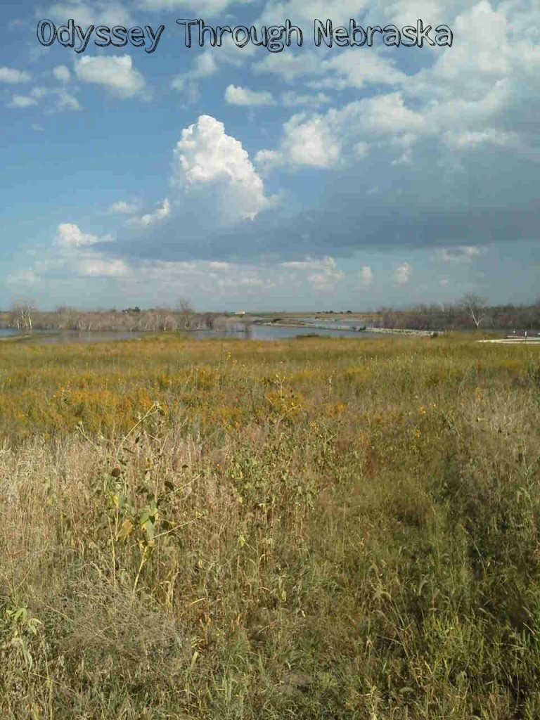 Lake Wanahoo at a Distance