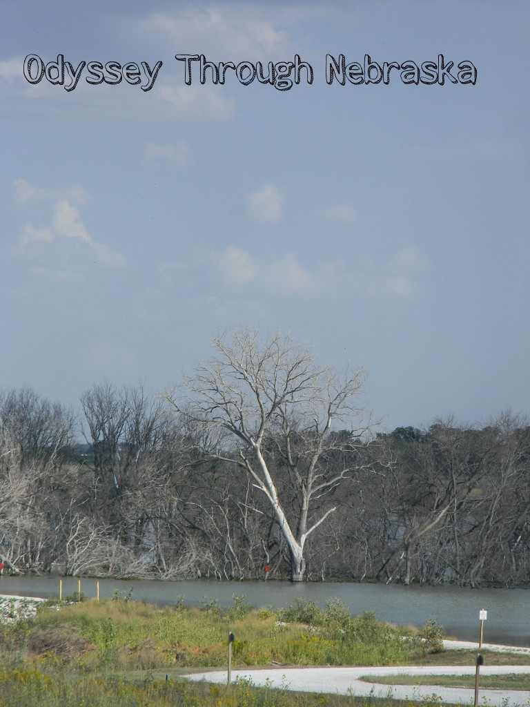 Lake Wanahoo winding path