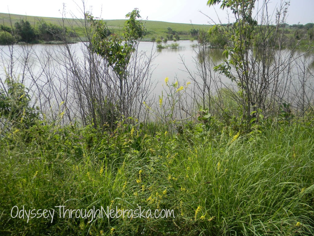 Spring Creek Prairie Audubon Lake Side