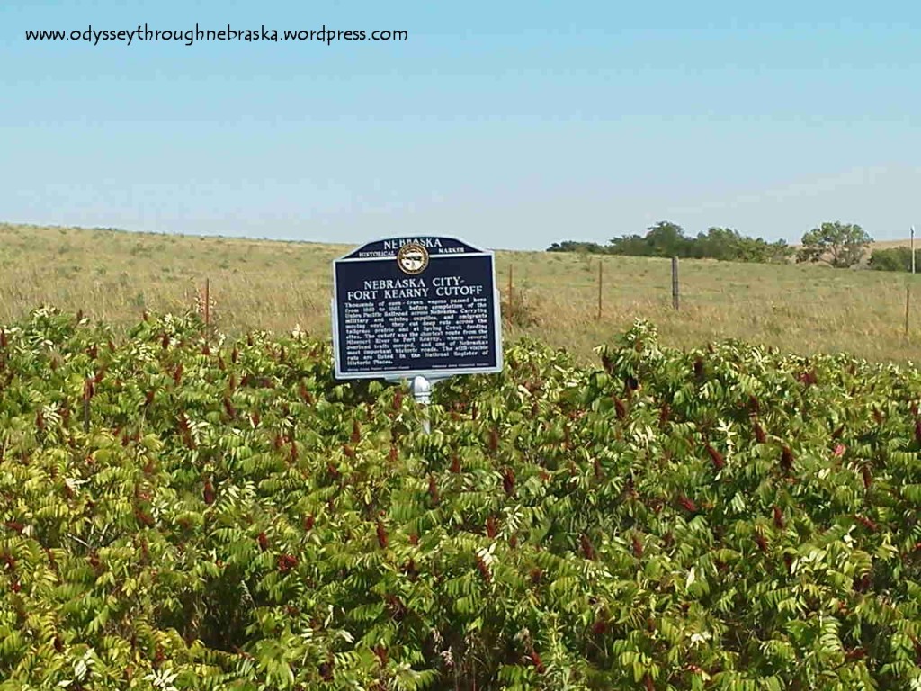 Spring Creek Cutoff sign