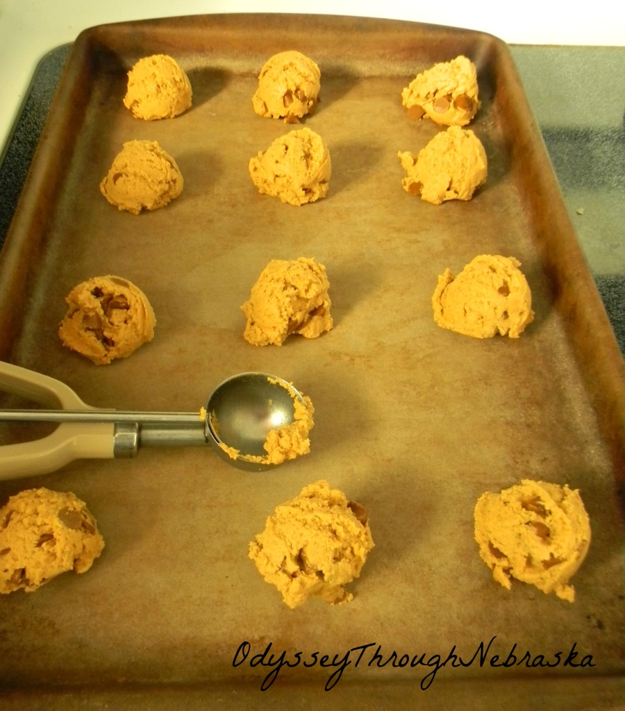 Pumpkin Cookies 2