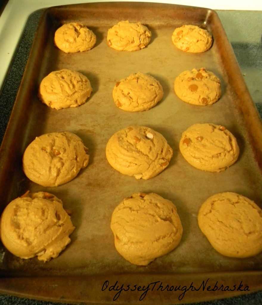 Pumpkin Cookies 4