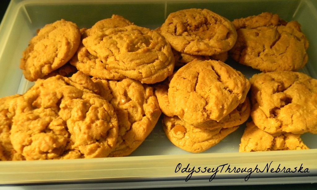 Pumpkin Cookies 6