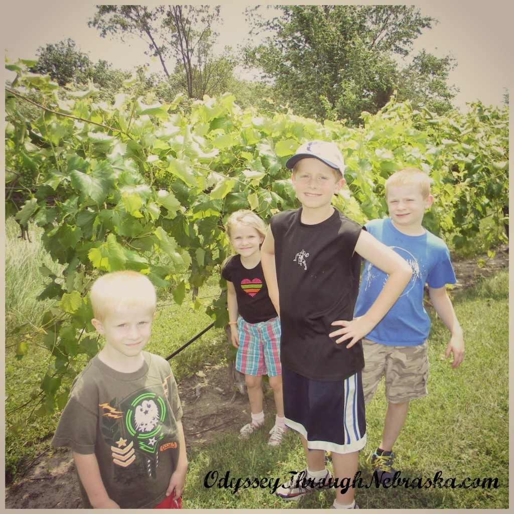 James Arthur Vineyards Kids