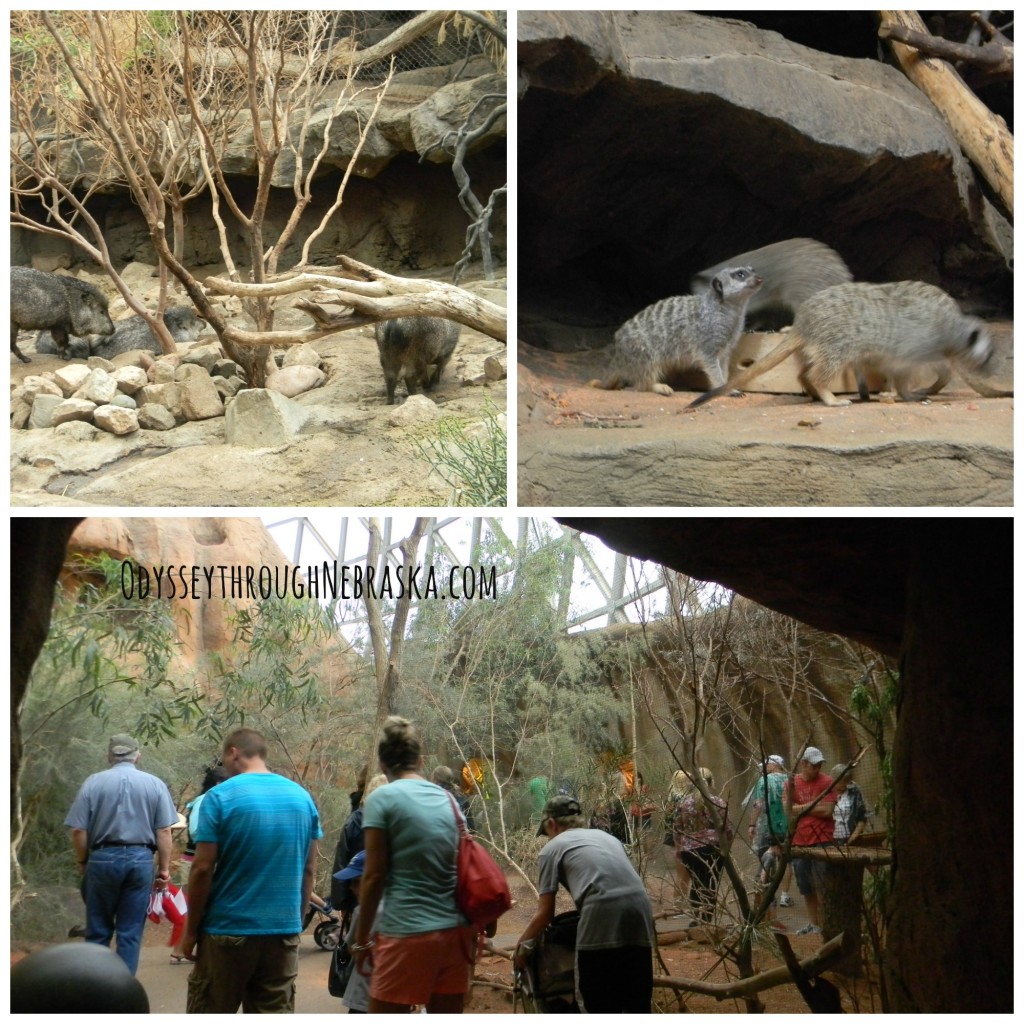 Henry Doorly Zoo Desert Dome Collage