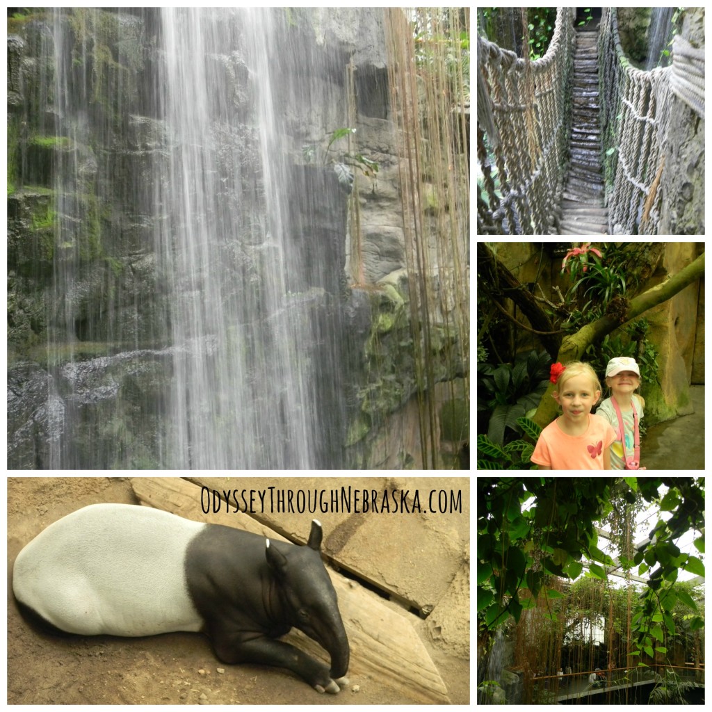Henry Doorly Zoo Jungle Collage
