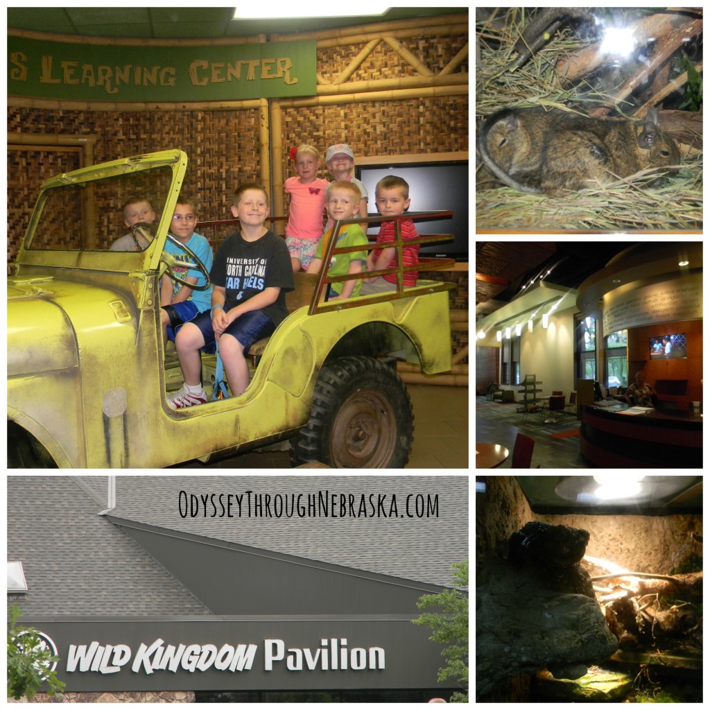 Henry Doorly Zoo Wild Kingdom Pavilion Collage