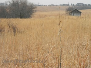 The Hudson Cabin is one of the oldest building in Lancaster County Nebraska