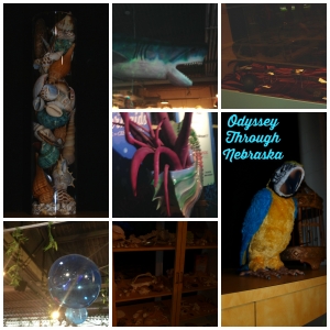 Omaha Childrens Museum  Pirates and Mermaids Ambiance Collage