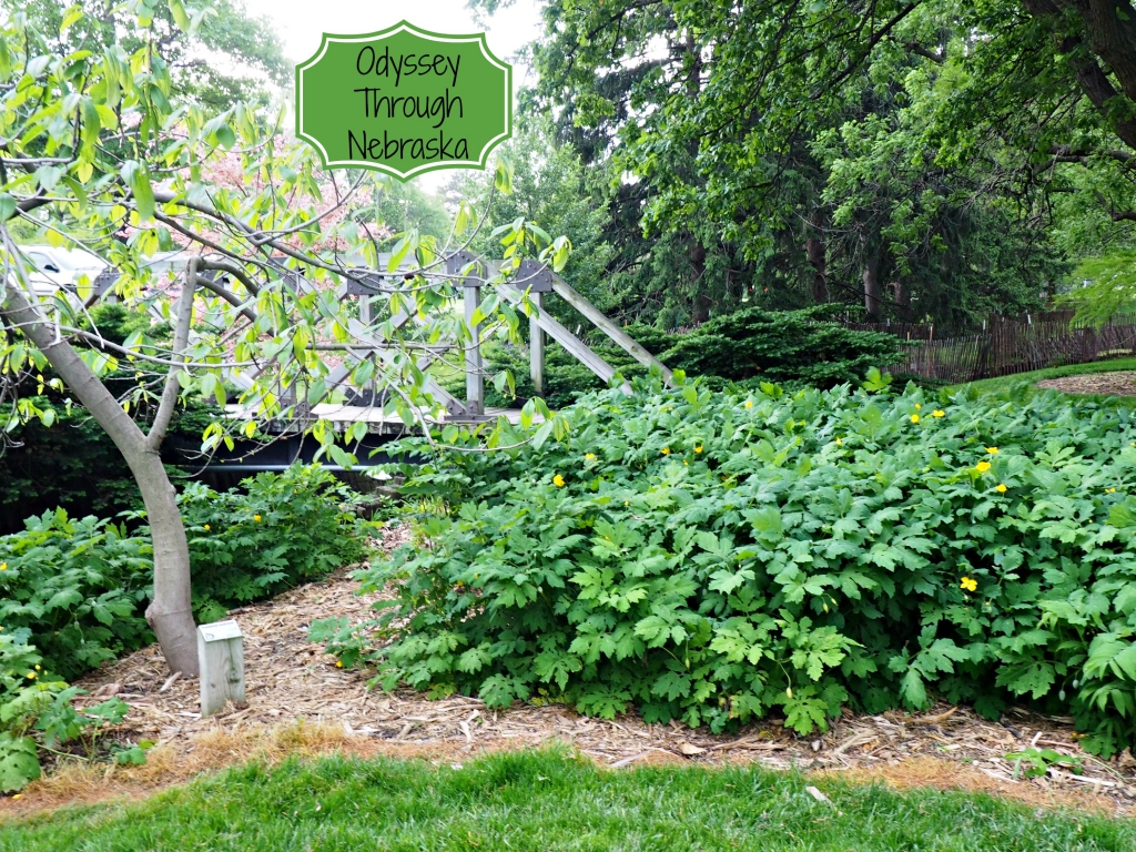 UNL East Campus Maxwell Arboretum in Lincoln