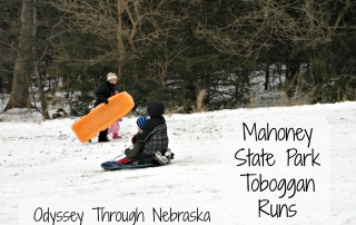 Mahoney State Park Toboggan Runs