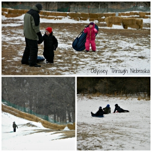 Mahoney State Park Toboggan Runs