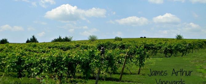 Winery near Lincoln Nebraska