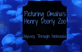 The Omaha Henry Doorly Zoo is one of the best in the world for its variety of animals and more