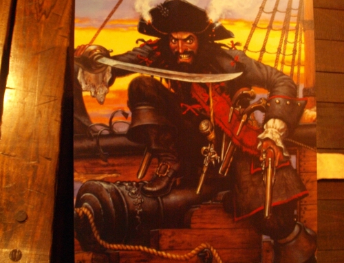 Twelve + Great Pirate Books for Kids