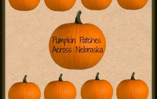 Nebraska Pumpkin Patches