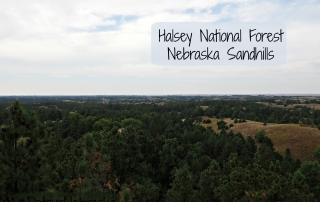 Nebraska National Forest