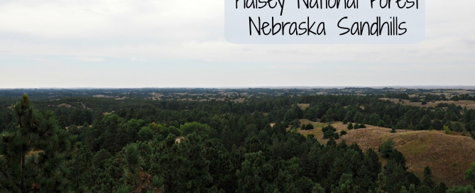 Nebraska National Forest