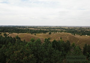 Nebraska National Forest