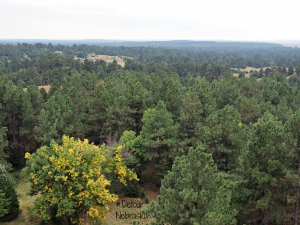 Nebraska National Forest