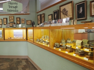 Petrified Wood Gallery