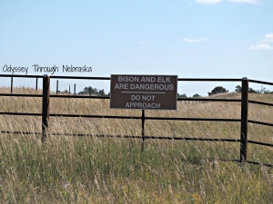 7 reasons to visit the Fort Niobrara National Wildlife Refuge