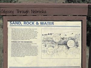 7 reasons to visit the Fort Niobrara National Wildlife Refuge