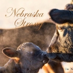 #NebraskaStrong